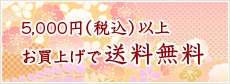 5,000円((税込))以上お買上げで送料無料