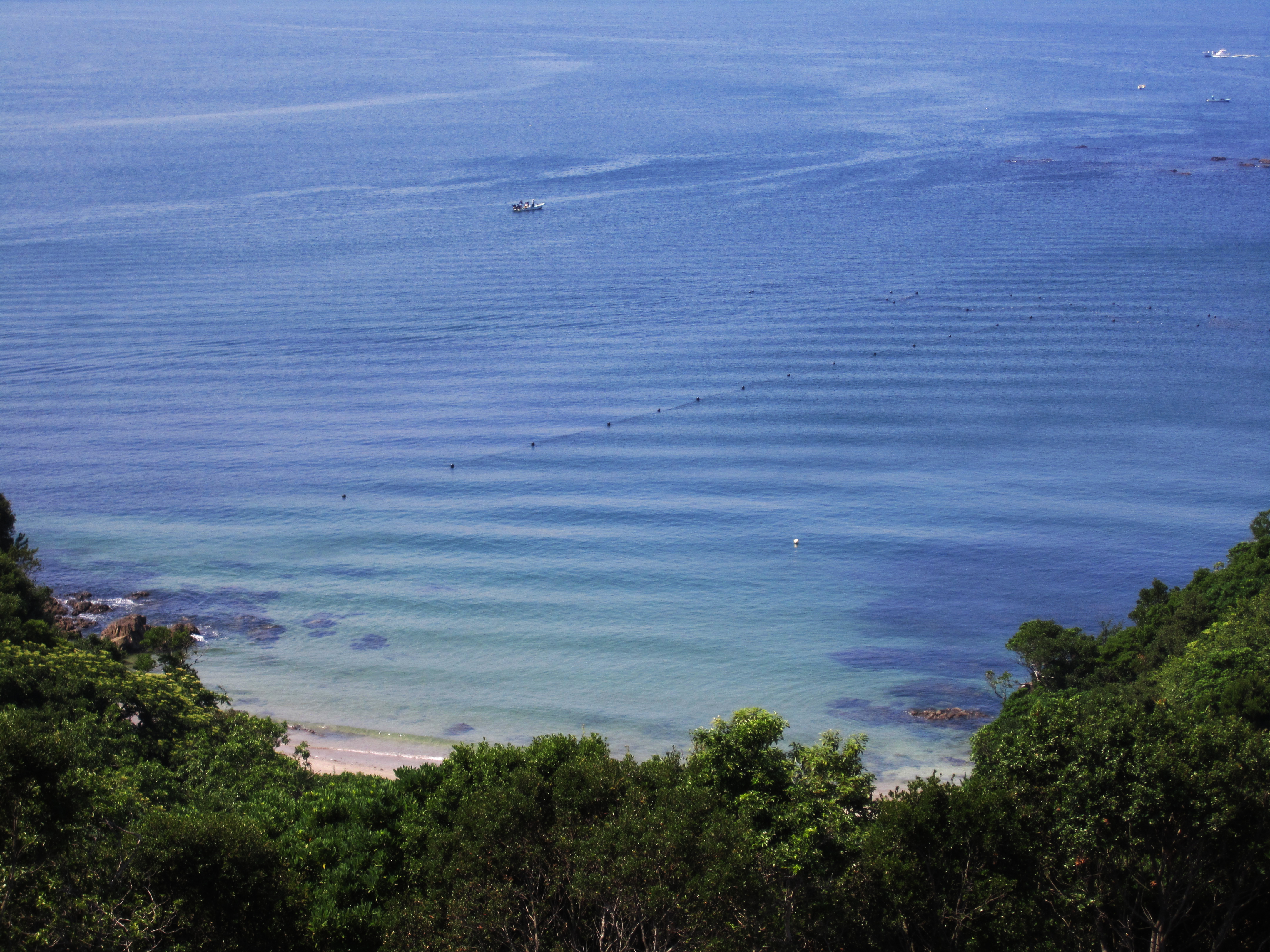 鳥羽 海