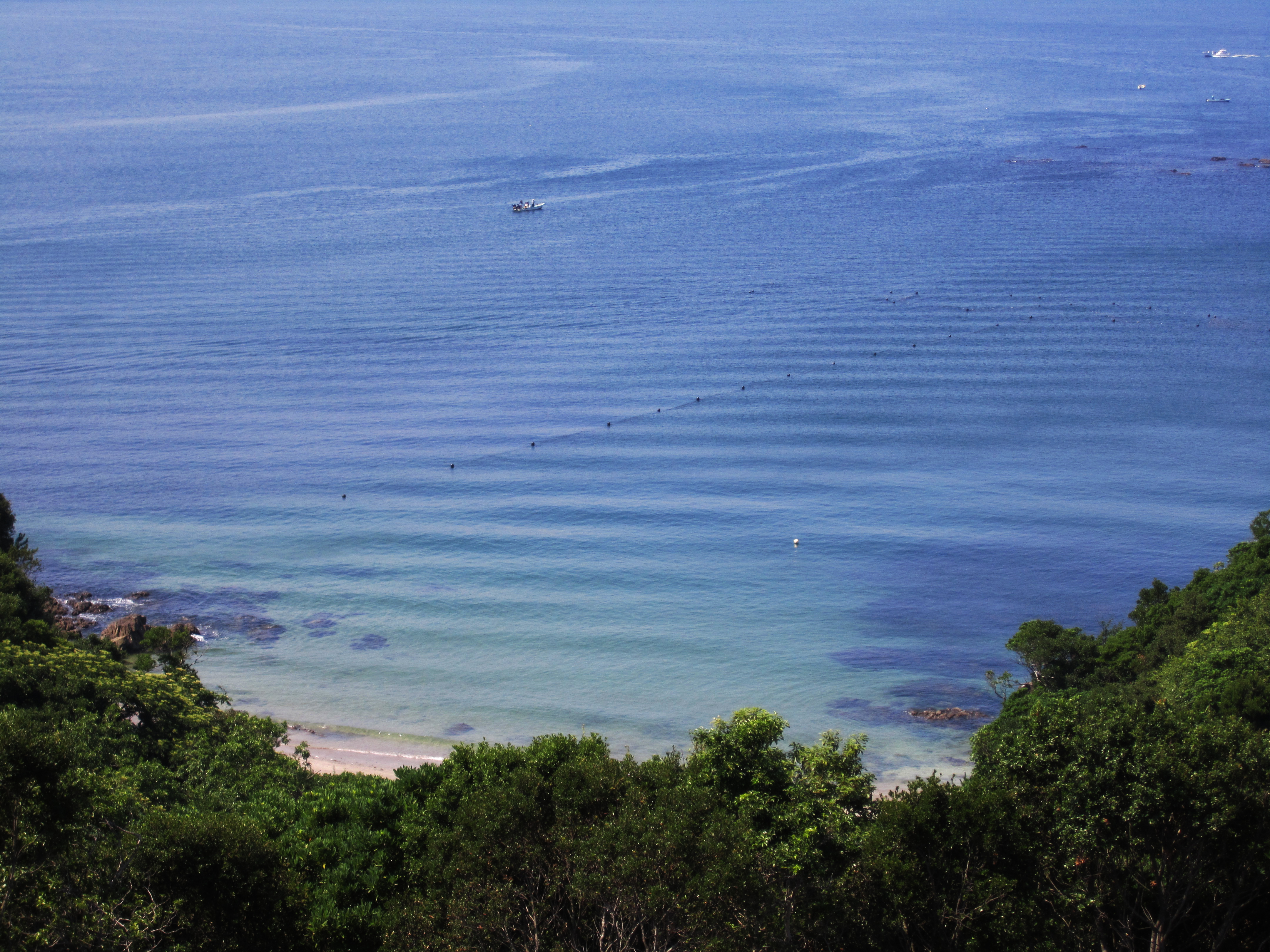 鳥羽　海